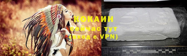 дживик Бронницы