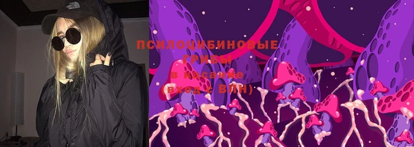дживик Бронницы