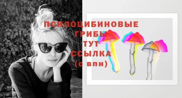 дживик Бронницы