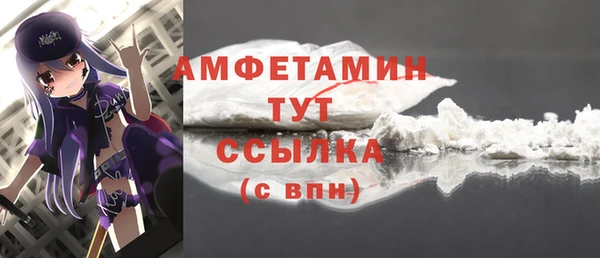дживик Бронницы