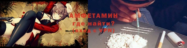 дживик Бронницы