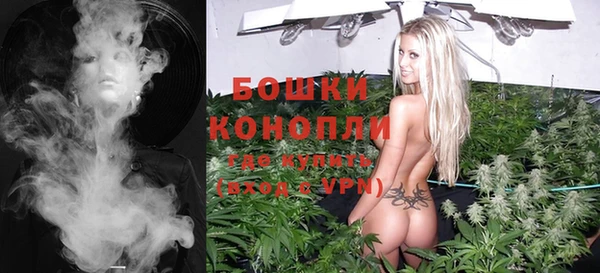 дживик Бронницы