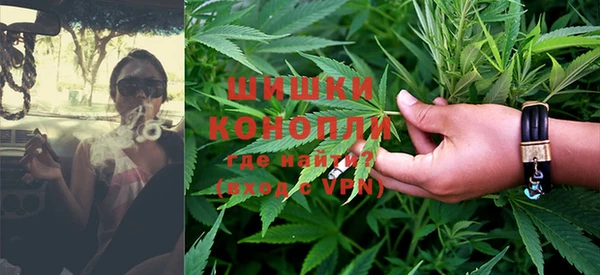 дживик Бронницы