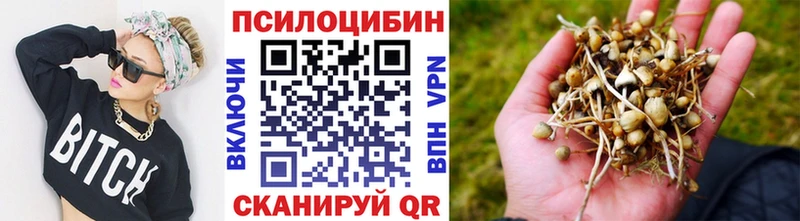 Псилоцибиновые грибы мухоморы  Купить где  Отрадный 